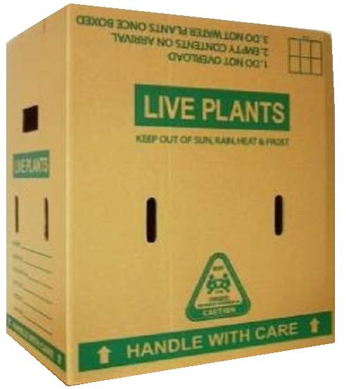 Live Plant Cartons Cardboard Box Shop